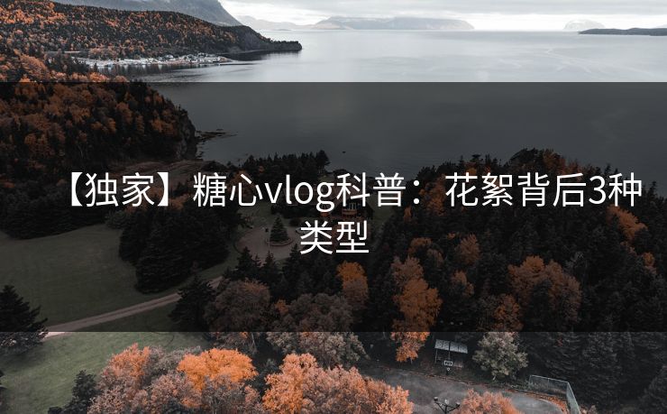 【独家】糖心vlog科普：花絮背后3种类型
