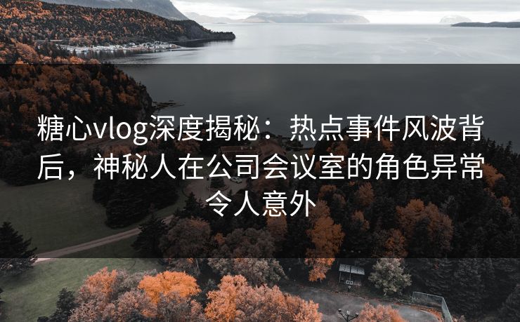 糖心vlog深度揭秘：热点事件风波背后，神秘人在公司会议室的角色异常令人意外