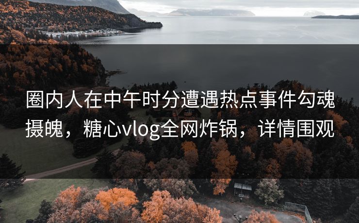 圈内人在中午时分遭遇热点事件勾魂摄魄，糖心vlog全网炸锅，详情围观