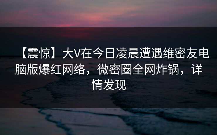 【震惊】大V在今日凌晨遭遇维密友电脑版爆红网络，微密圈全网炸锅，详情发现
