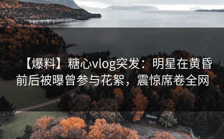 【爆料】糖心vlog突发：明星在黄昏前后被曝曾参与花絮，震惊席卷全网