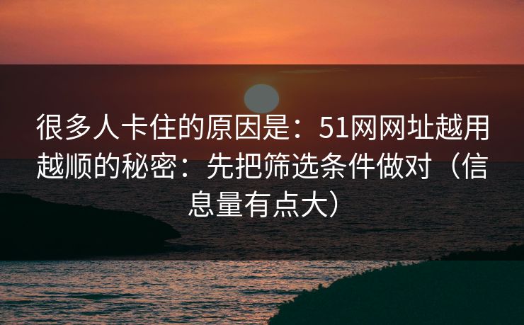 很多人卡住的原因是：51网网址越用越顺的秘密：先把筛选条件做对（信息量有点大）